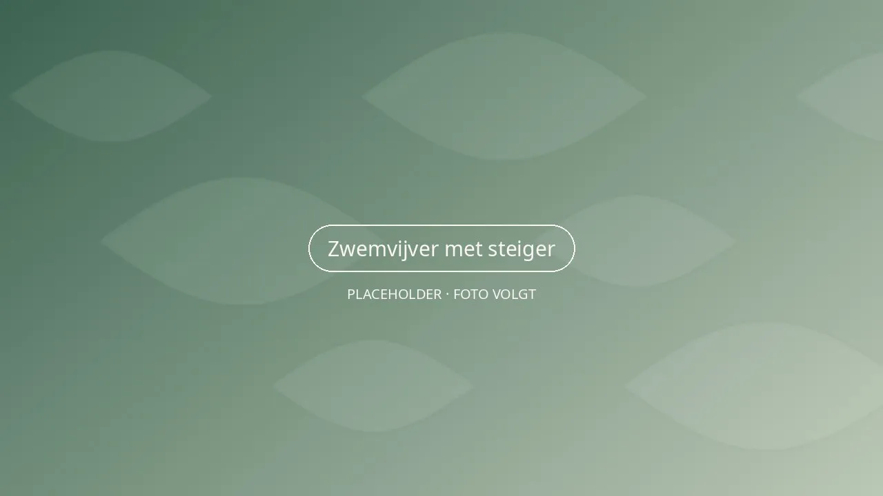 Rand van de zwemvijver met houten steiger, waterlelies en riet