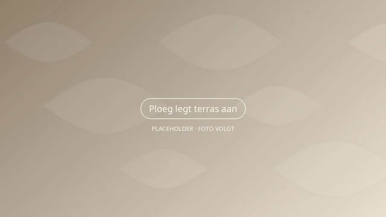 Twee hoveniers leggen keramische terrastegels in een achtertuin