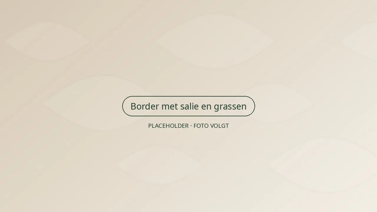 Detail van de border met salie, zonnehoed en siergrassen langs het terras